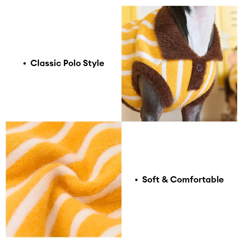 Color Blocked Striped Polo Collar Dog Sweater For Small Dogs