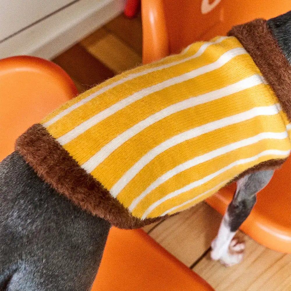 Color Blocked Striped Polo Collar Dog Sweater For Small Dogs