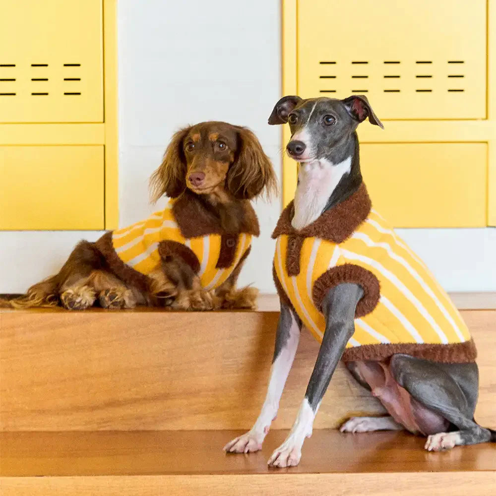 Color Blocked Striped Polo Collar Dog Sweater For Small Dogs