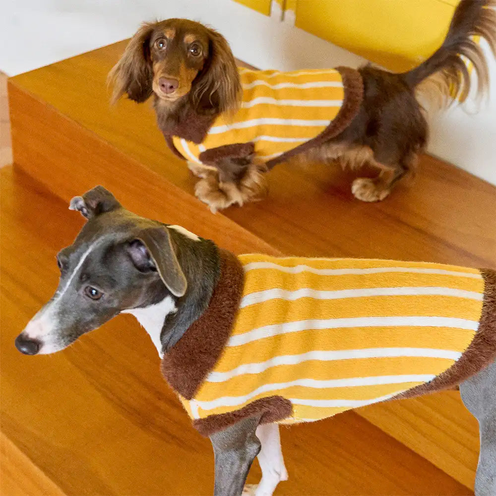 Color Blocked Striped Polo Collar Dog Sweater For Small Dogs