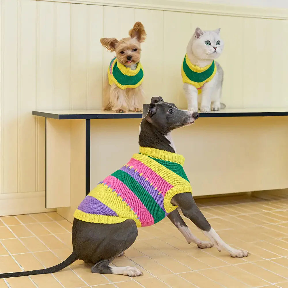 Color Blocked Striped Sleeveless Dog Sweater For Small Dogs