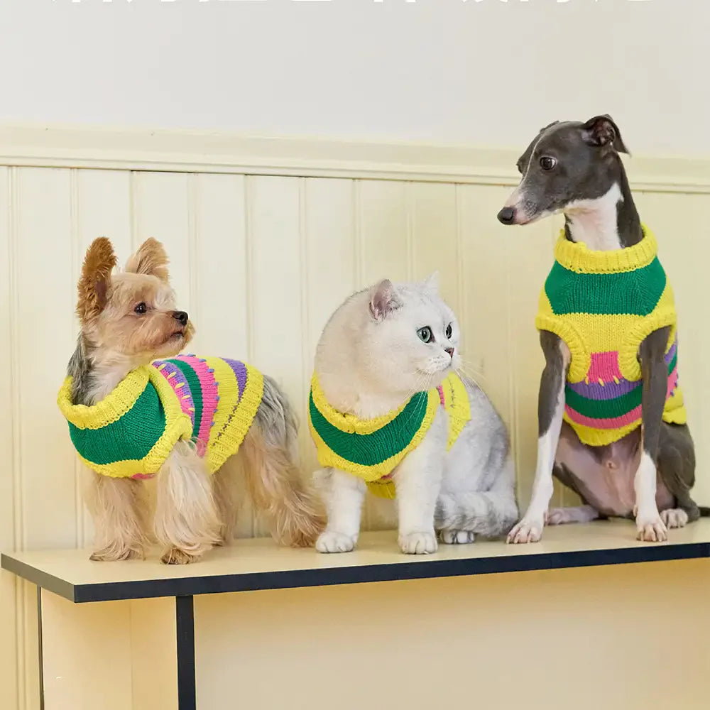 Color Blocked Striped Sleeveless Dog Sweater For Small Dogs