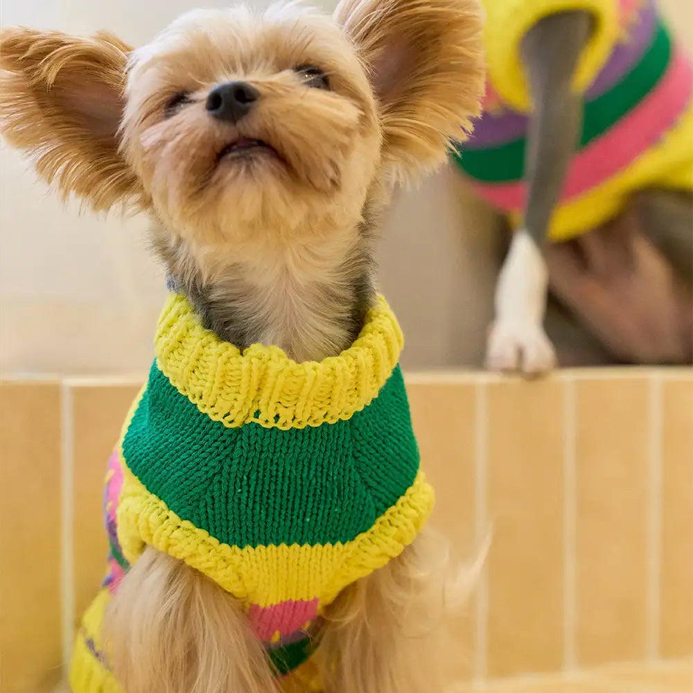 Color Blocked Striped Sleeveless Dog Sweater For Small Dogs