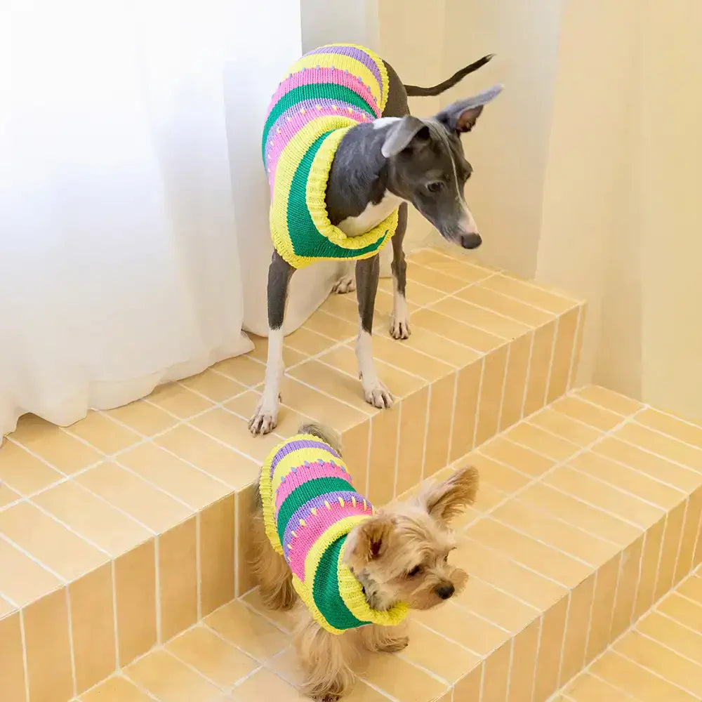 Color Blocked Striped Sleeveless Dog Sweater For Small Dogs