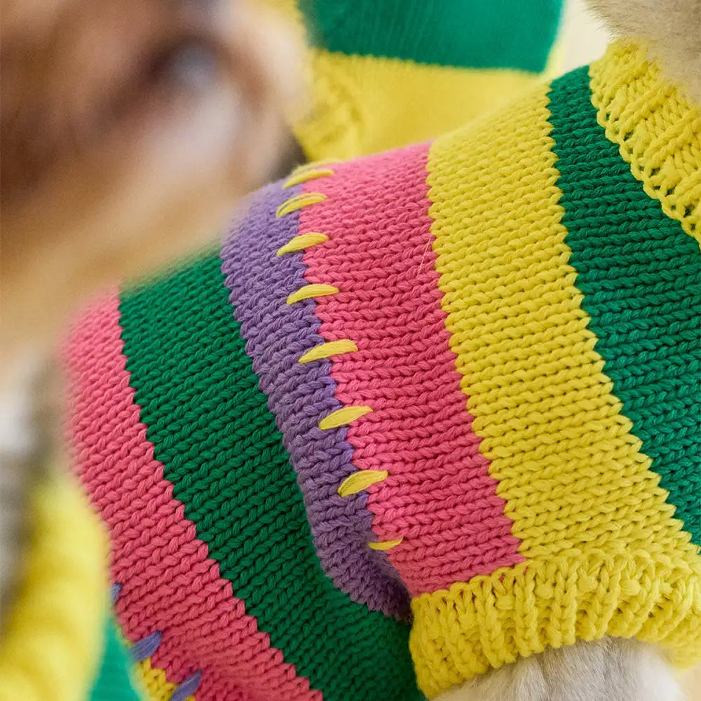 Color Blocked Striped Sleeveless Dog Sweater For Small Dogs