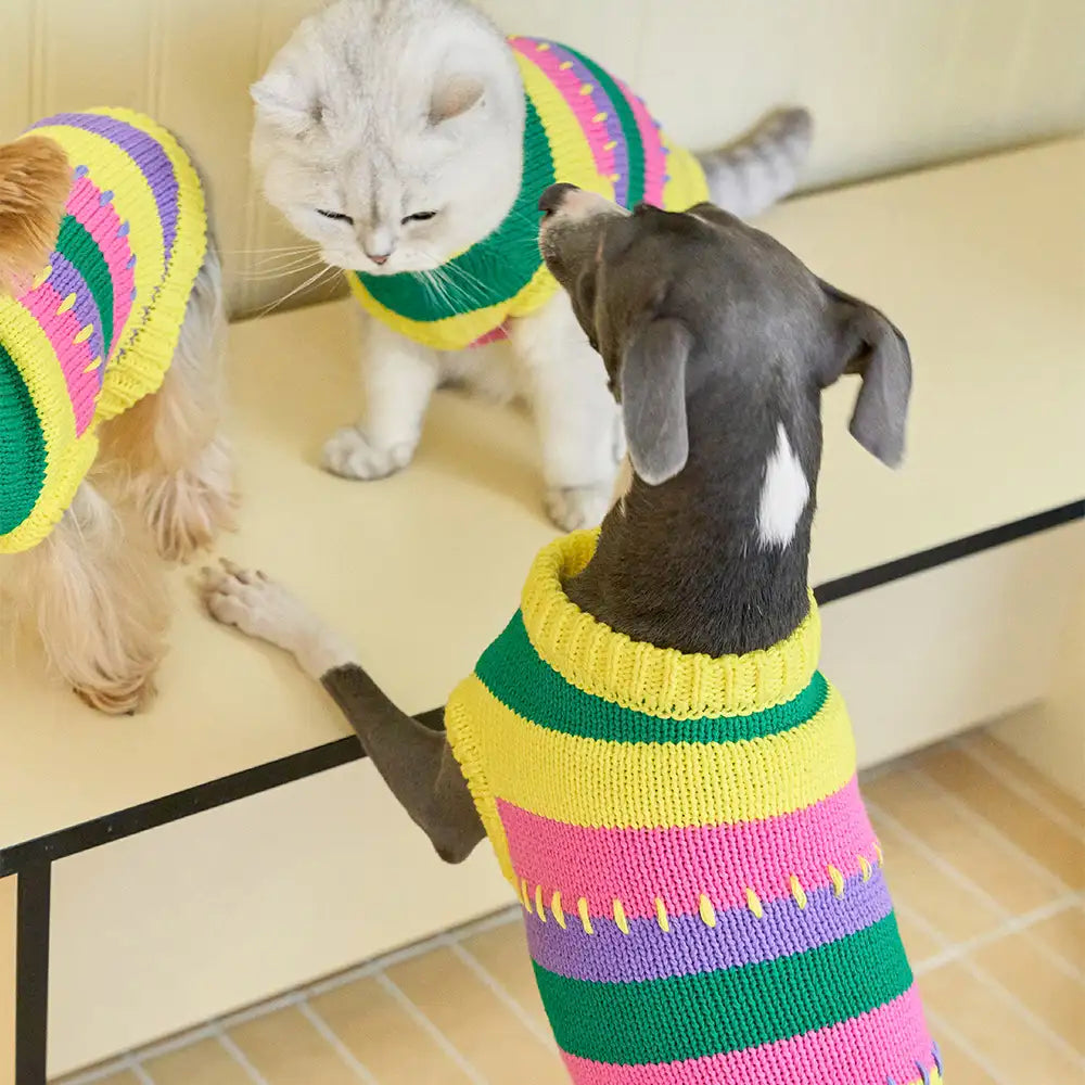 Color Blocked Striped Sleeveless Dog Sweater For Small Dogs