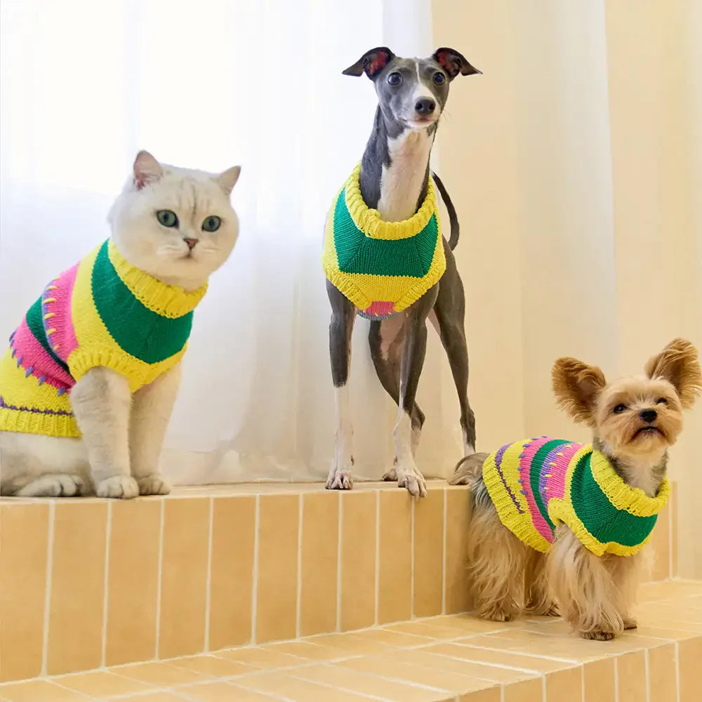 Color Blocked Striped Sleeveless Dog Sweater For Small Dogs