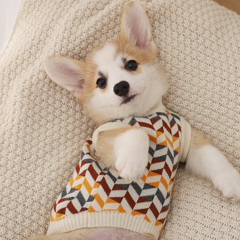 Diamond Striped Dog Sweater For Small Dogs