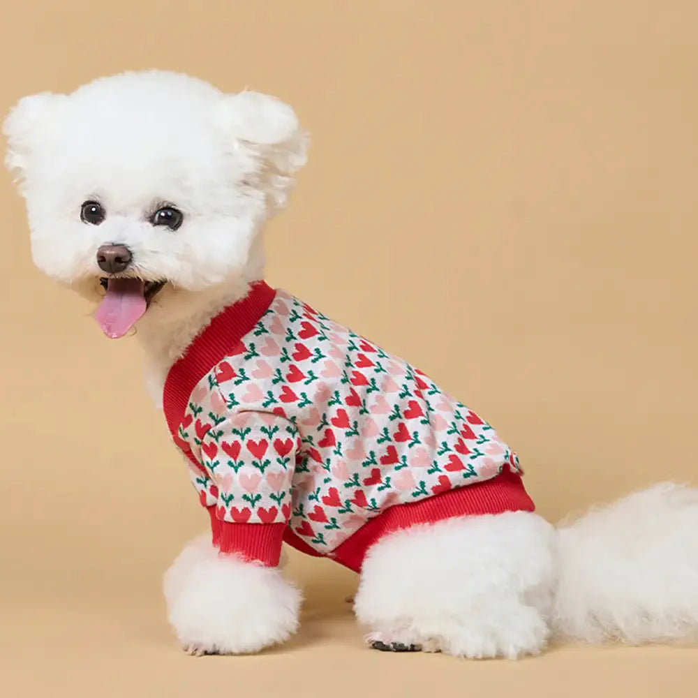 Fair Isle Heart Patterned Cardigan Dog Sweater For Small Dogs