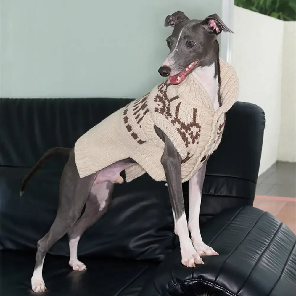 Fair Isle Pattern Sleeveless Dog Sweater For Small Dogs