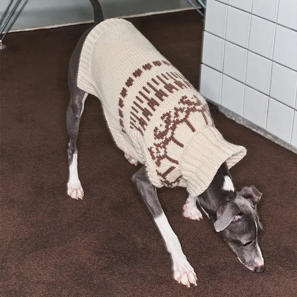 Fair Isle Pattern Sleeveless Dog Sweater For Small Dogs