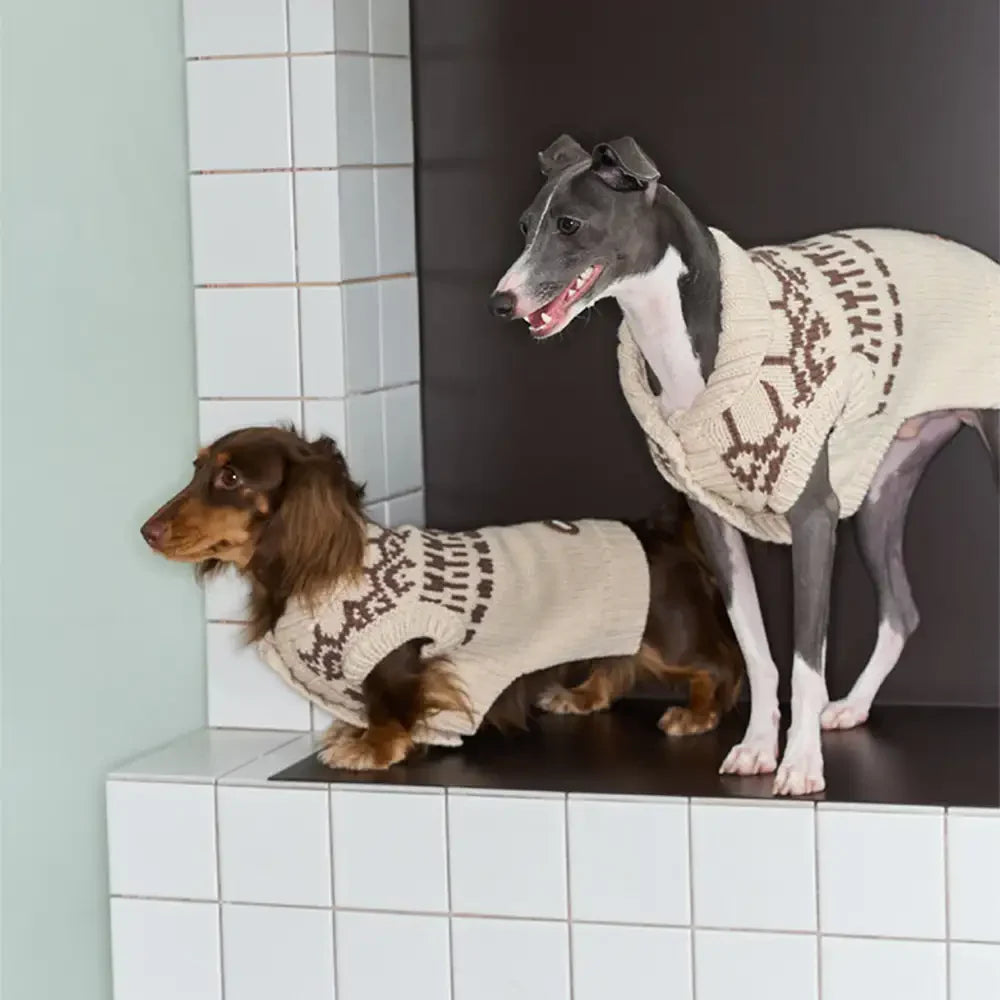 Fair Isle Pattern Sleeveless Dog Sweater For Small Dogs