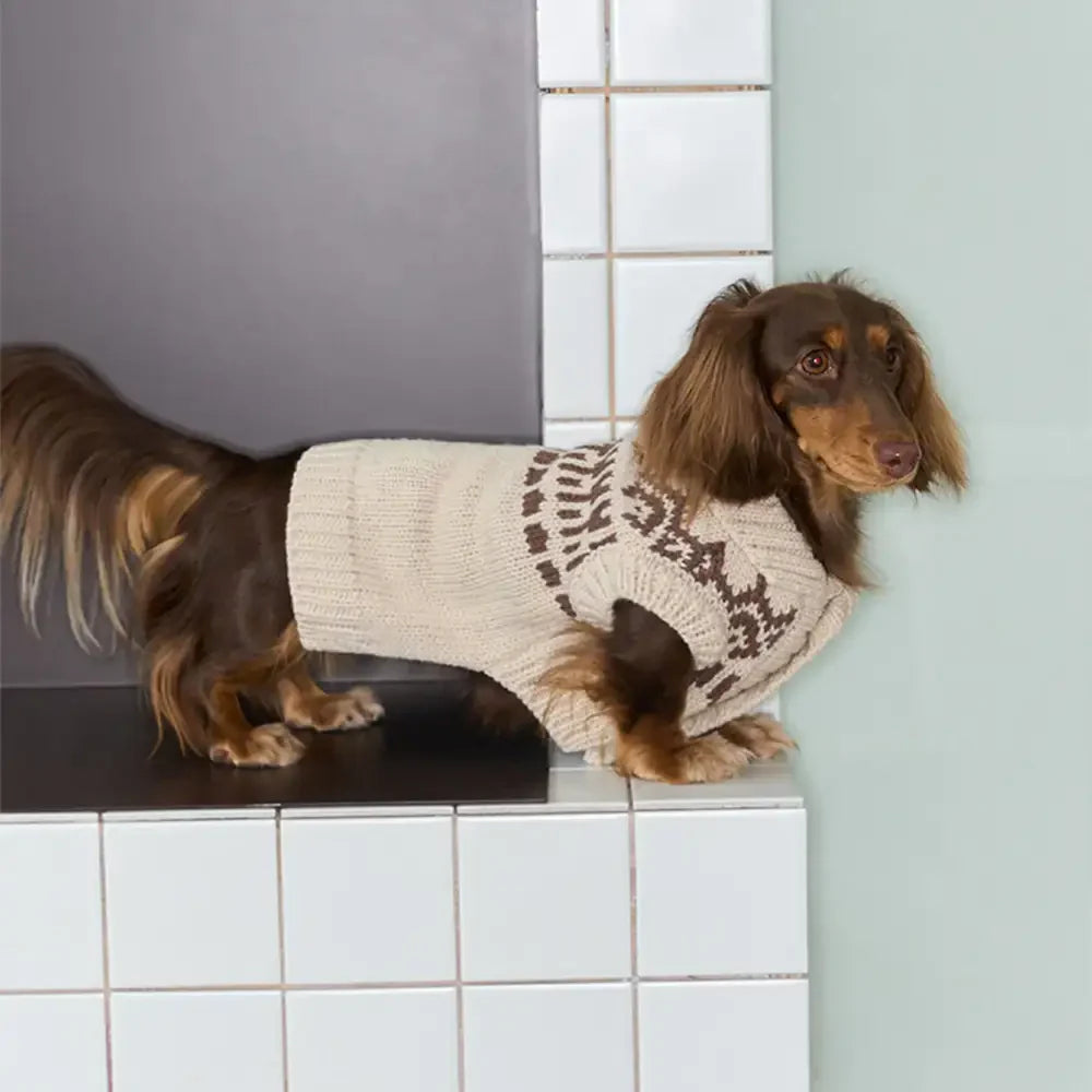 Fair Isle Pattern Sleeveless Dog Sweater For Small Dogs