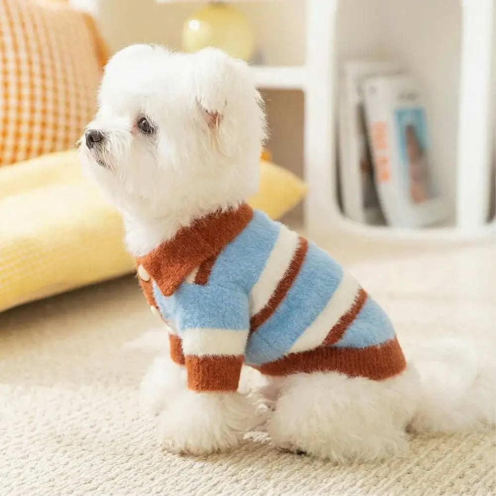 Faux Wool Color-Block Dog Sweater with Striped Collar for Small Dogs