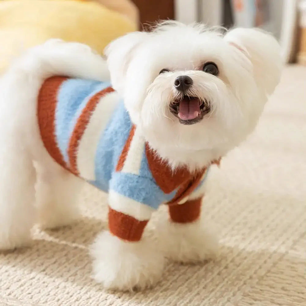 Faux Wool Color-Block Dog Sweater with Striped Collar for Small Dogs