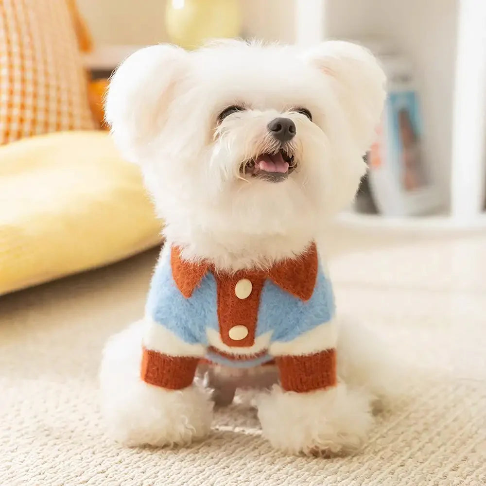 Faux Wool Color-Block Dog Sweater with Striped Collar for Small Dogs