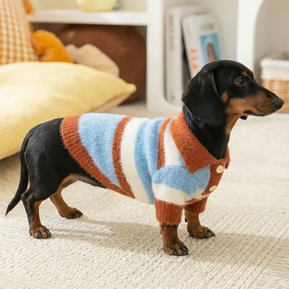 Faux Wool Color-Block Dog Sweater with Striped Collar for Small Dogs