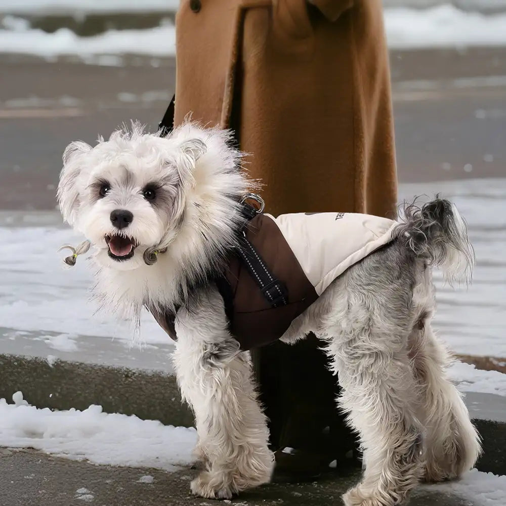 Fur-Trim Hooded Warm Dog Coat with Leash Buckle