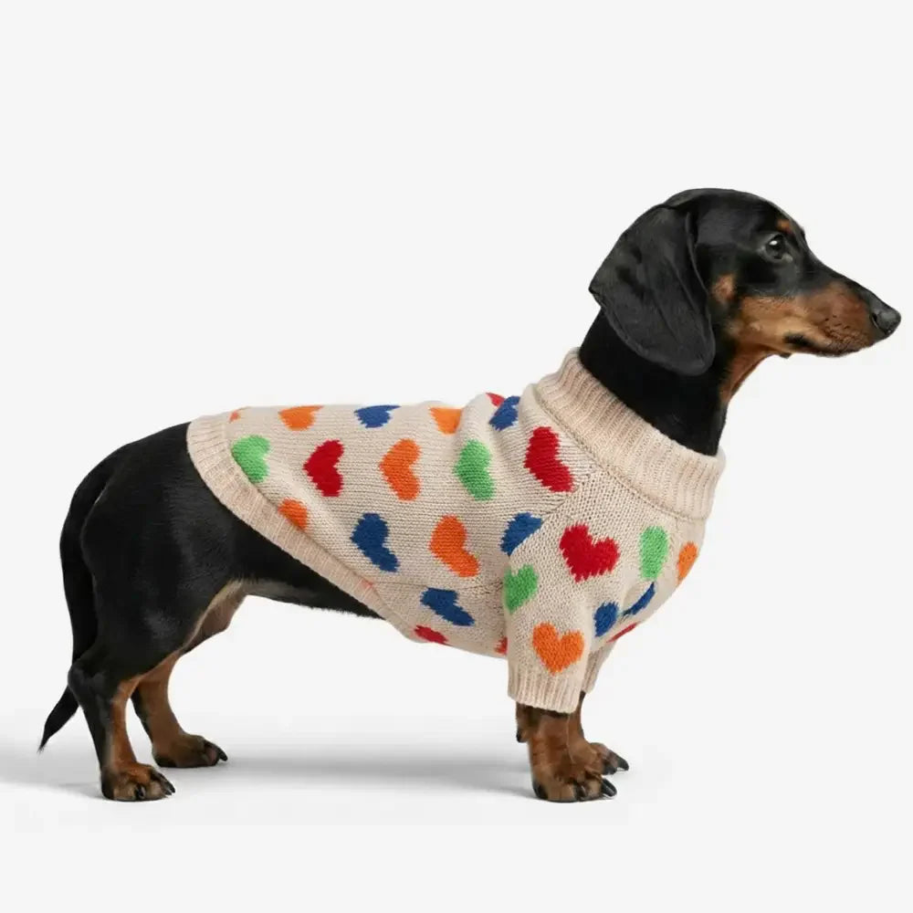 Heart Patterned Dog Sweater For Small Dogs