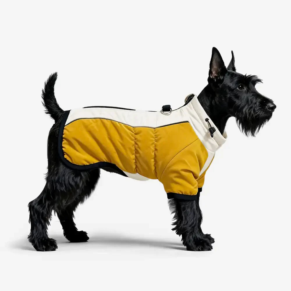 Retro Color-Block Fleece-Lined Warm Dog Coat with Leash Buckle