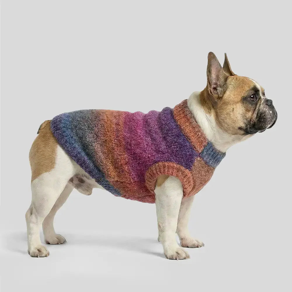 Soft Warm Thick-Knitted Dog Sweater – Designed For Dachshunds, French Bulldogs & Pugs