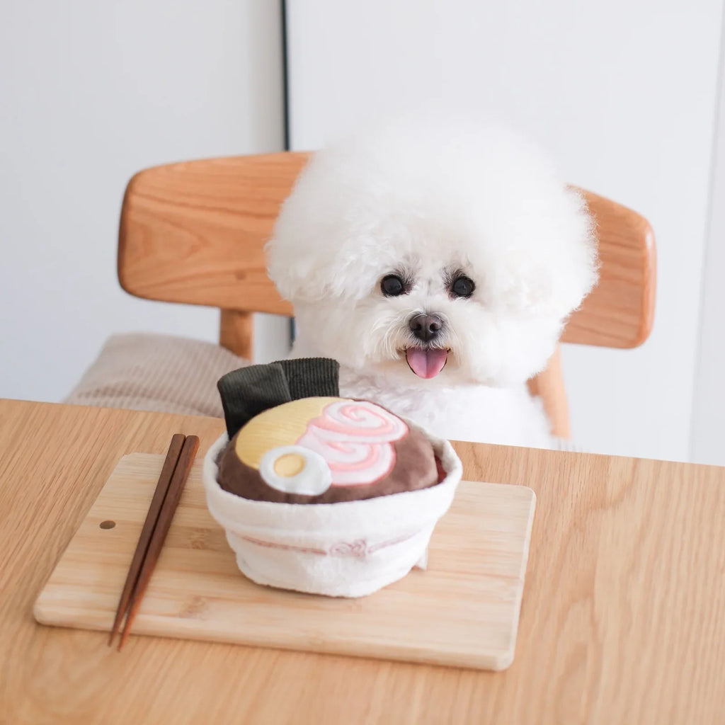 Ramen Enrichment Dog Toy