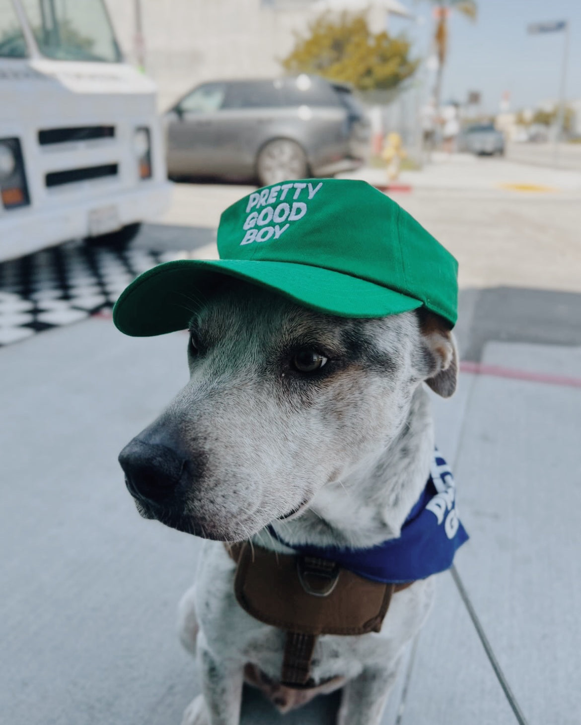 Pretty Good Boy Dad Hat