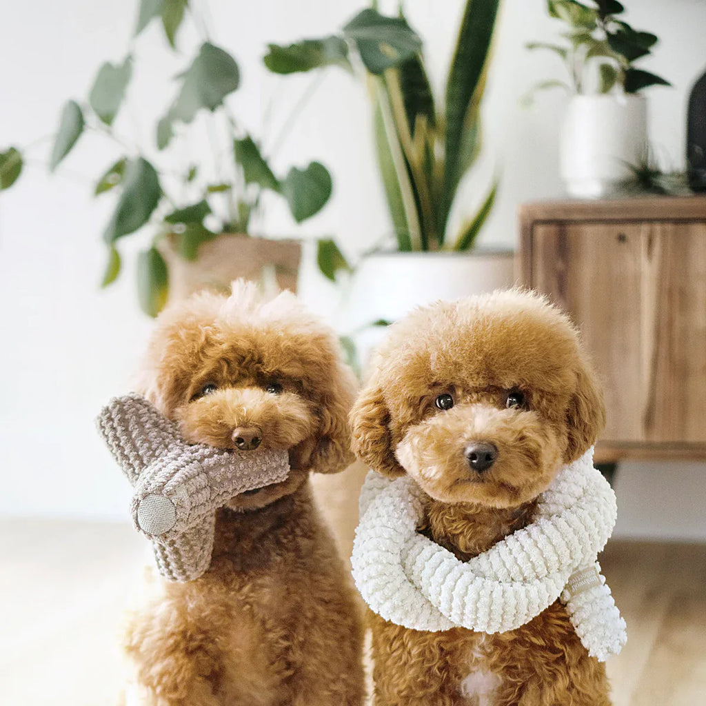 Breuer Toy - Squeaky + Crinkly