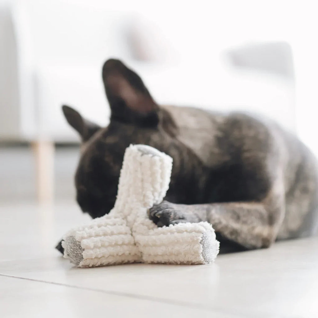 Breuer Toy - Squeaky + Crinkly