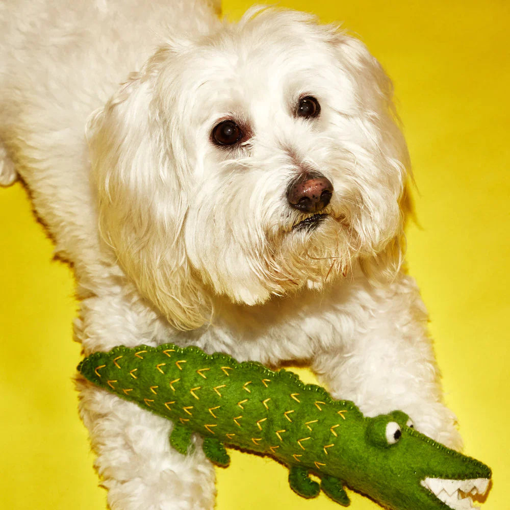 Wool Alligator Dog Toy