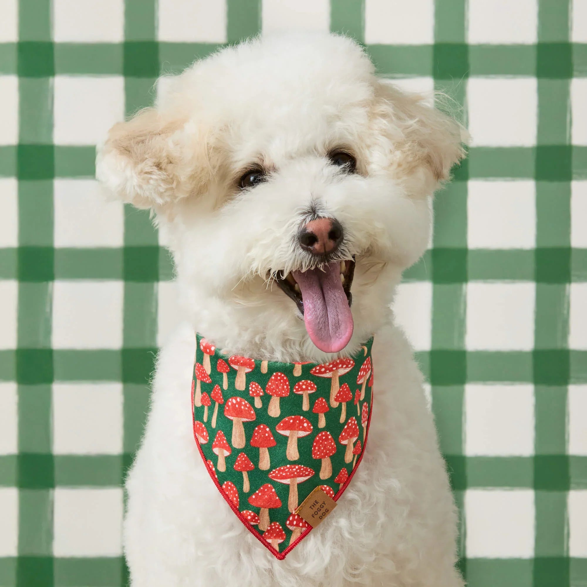 Mushroom Meadow Dog Bandana