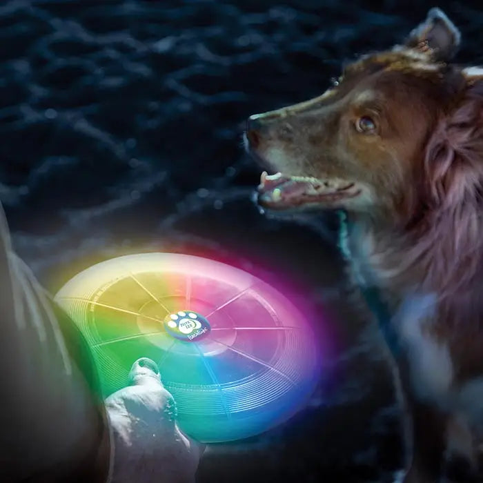 Flashflight® Dog Discuit™ LED Flying Disc