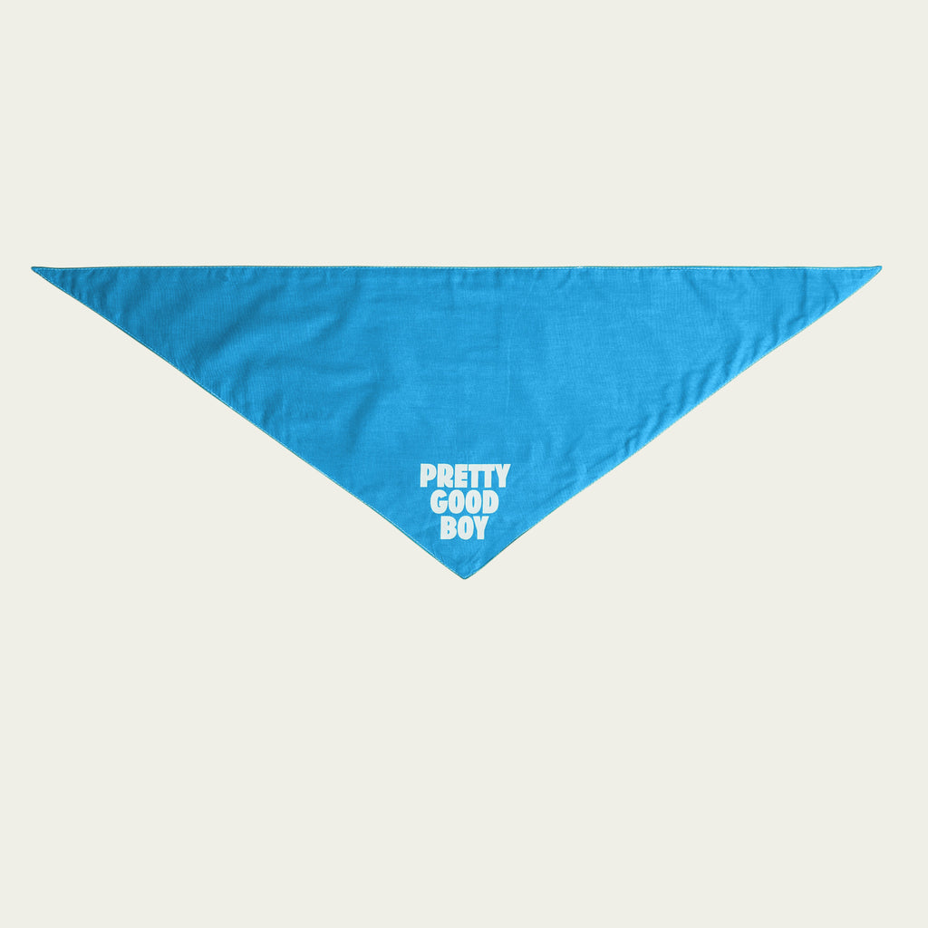 Pretty Good Boy Bandana