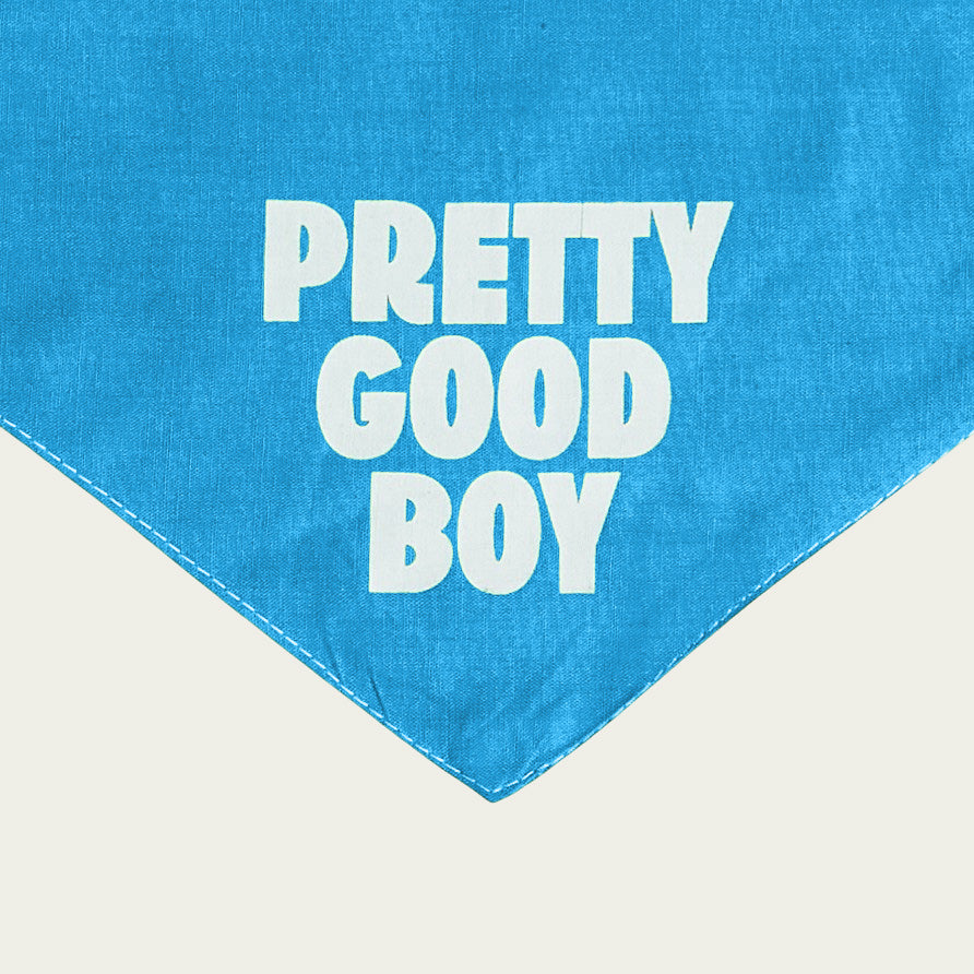 Pretty Good Boy Bandana