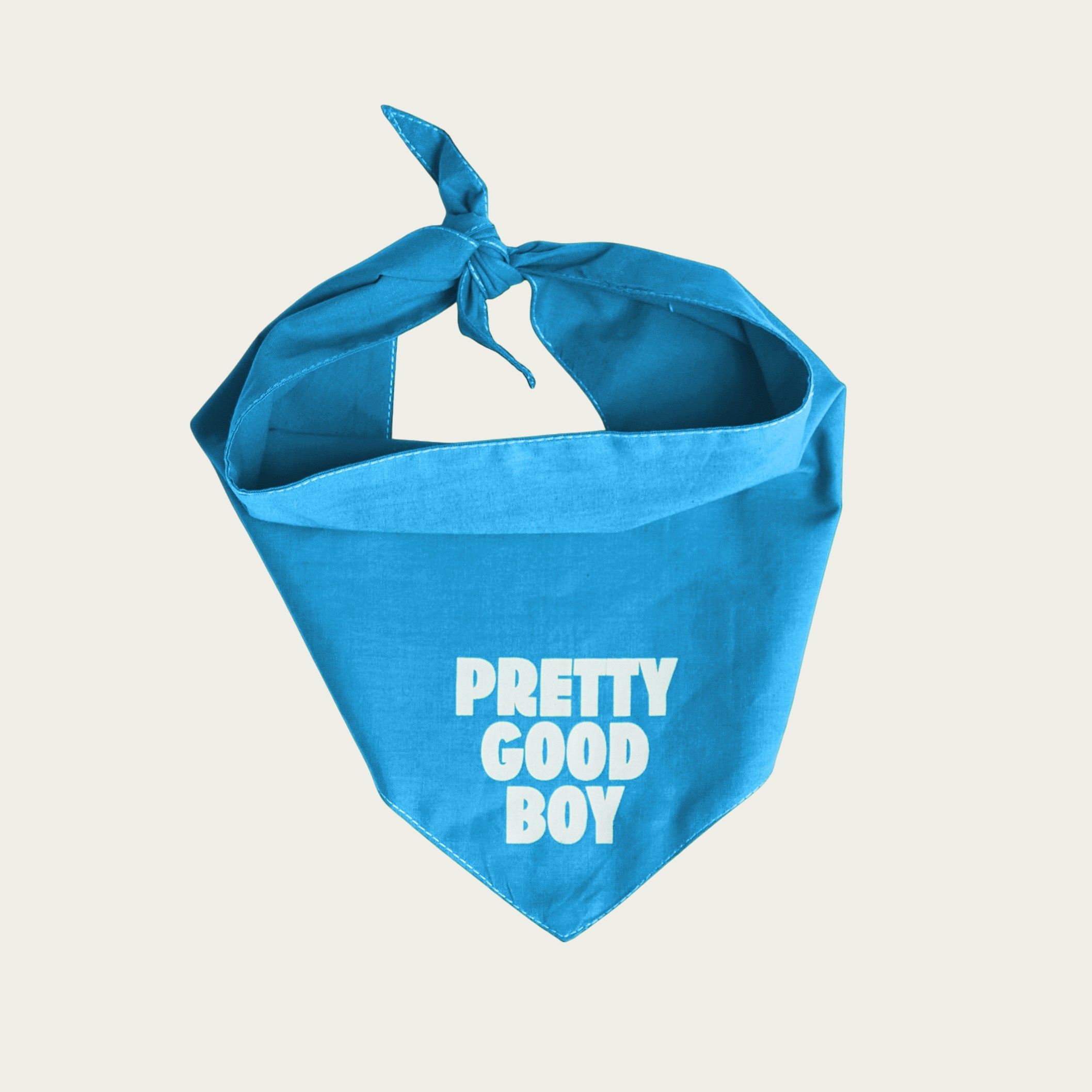 Pretty Good Boy Bandana