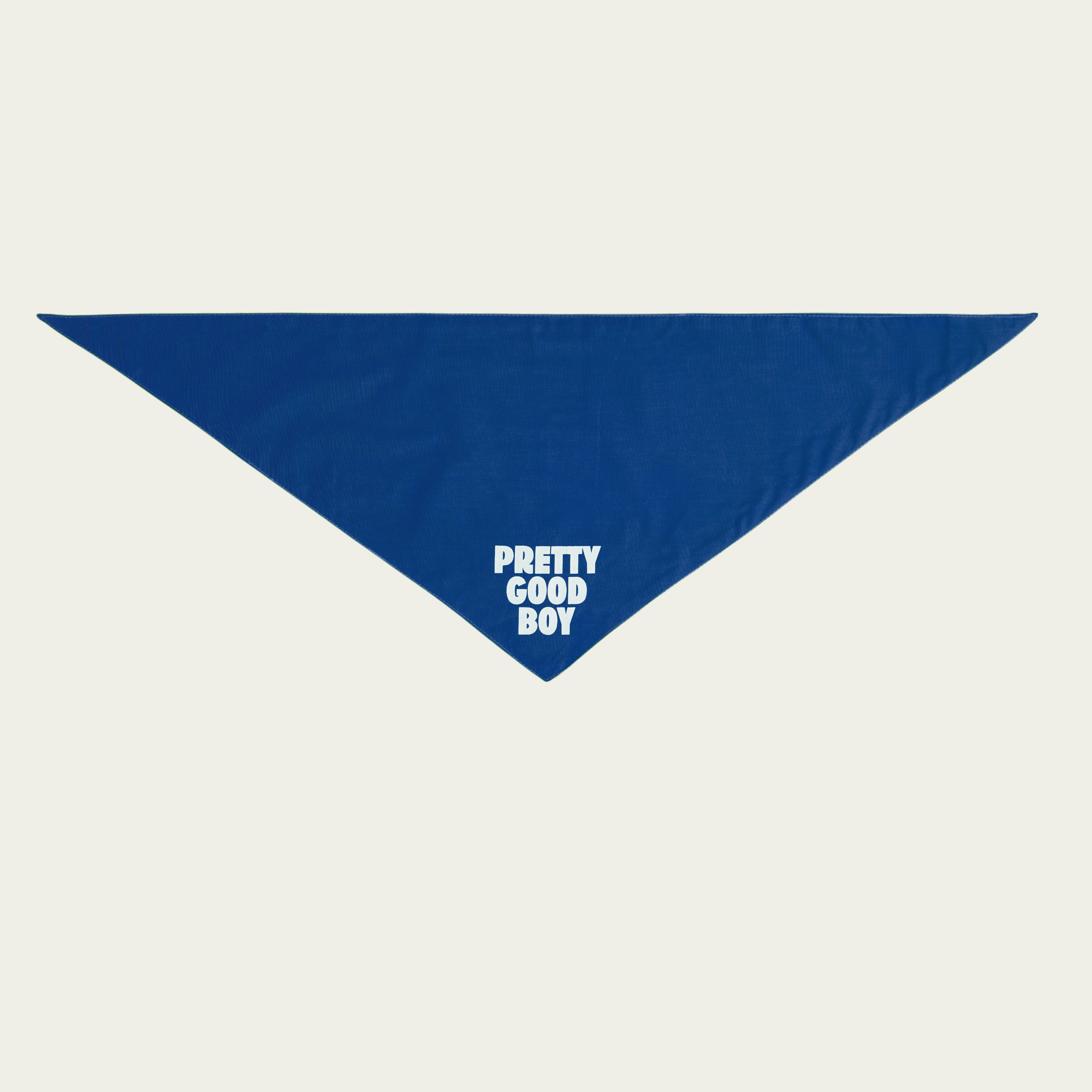 Pretty Good Boy Bandana