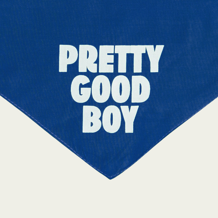 Pretty Good Boy Bandana