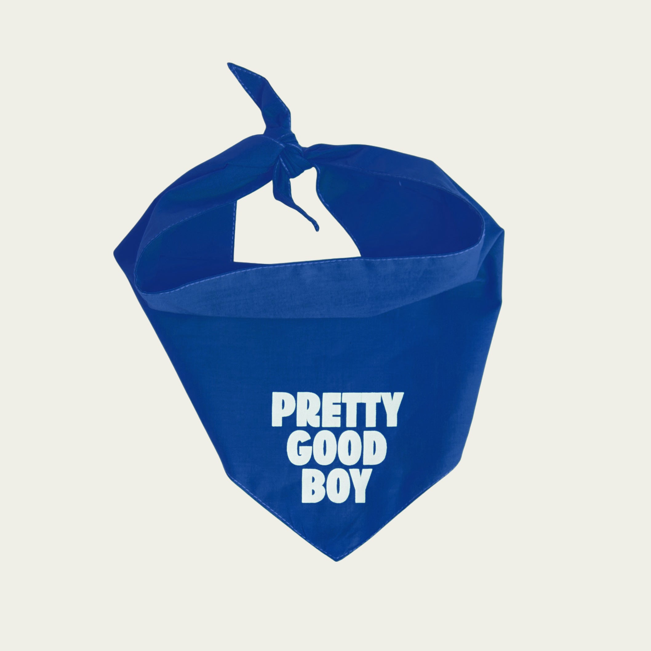 Pretty Good Boy Bandana