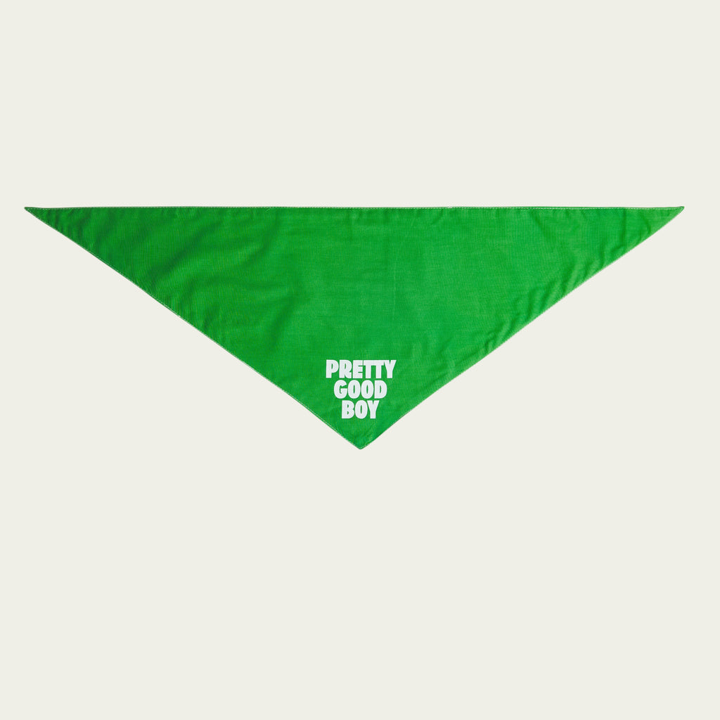 Pretty Good Boy Bandana