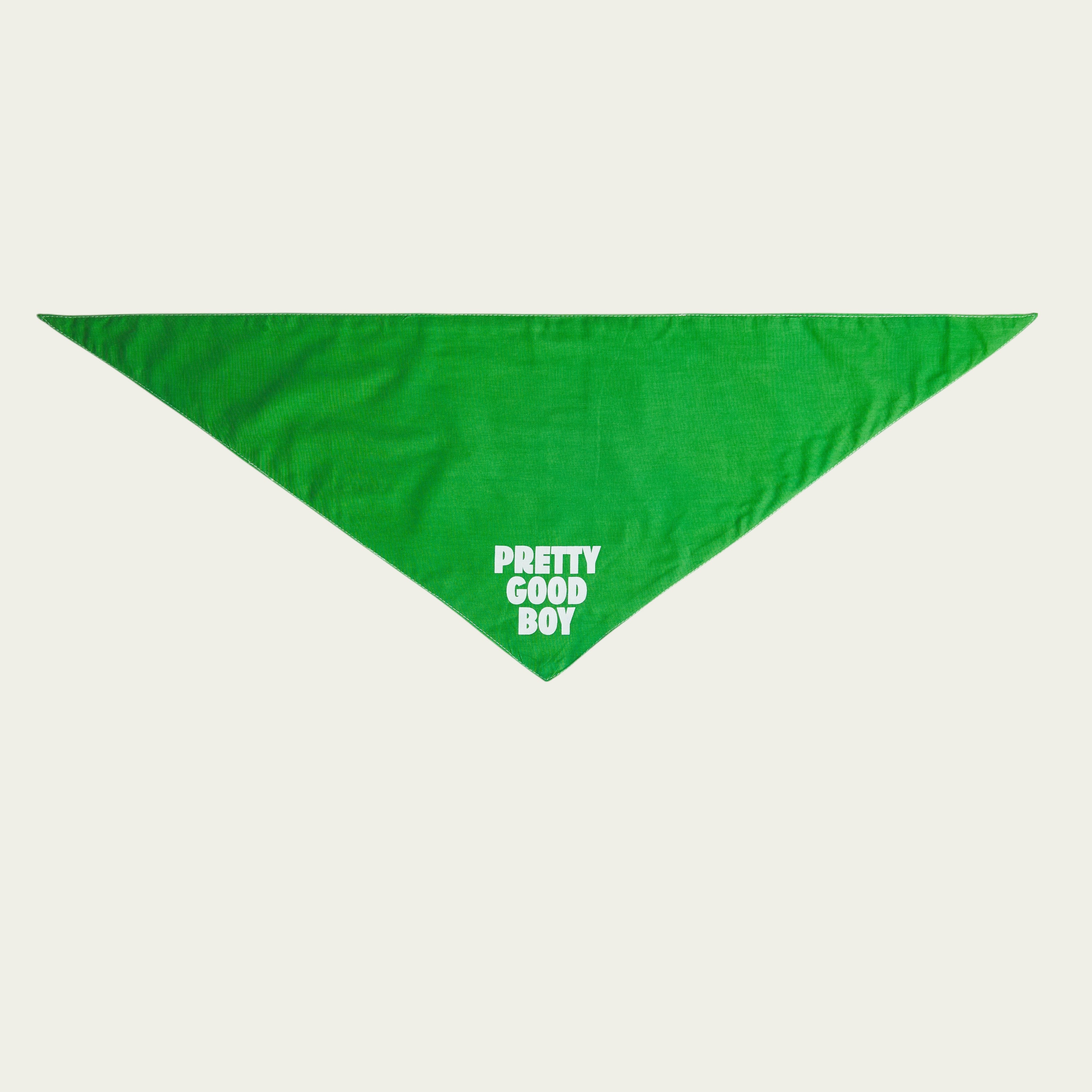 Pretty Good Boy Bandana