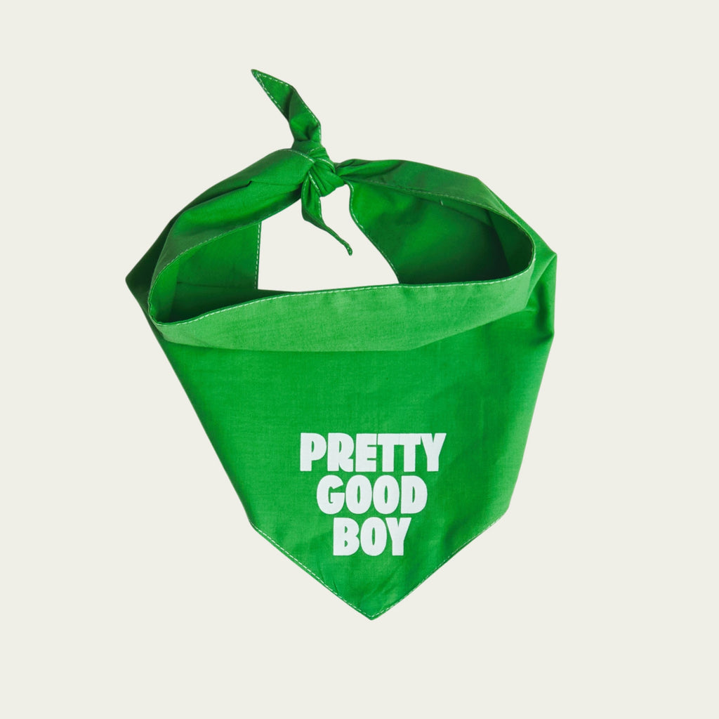 Pretty Good Boy Bandana