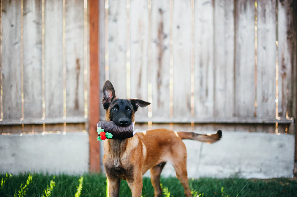 Holiday Classic - Yummy Yuletide Log