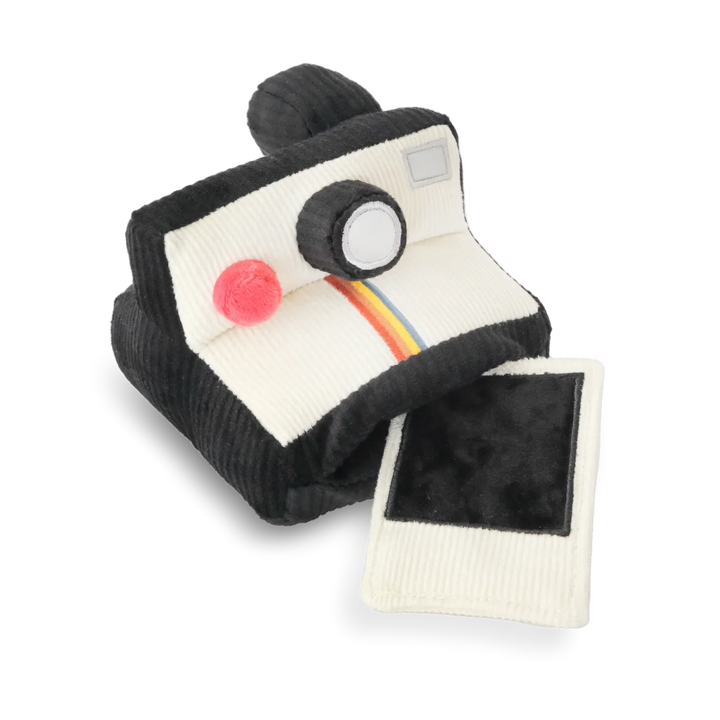 Instant Camera Enrichment Dog Toy