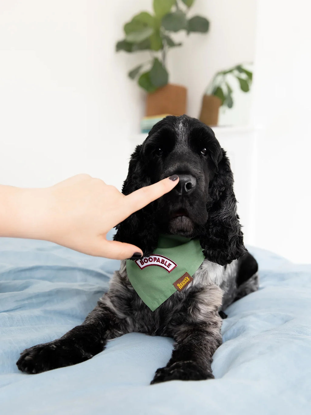 Boopable Iron-on Patch