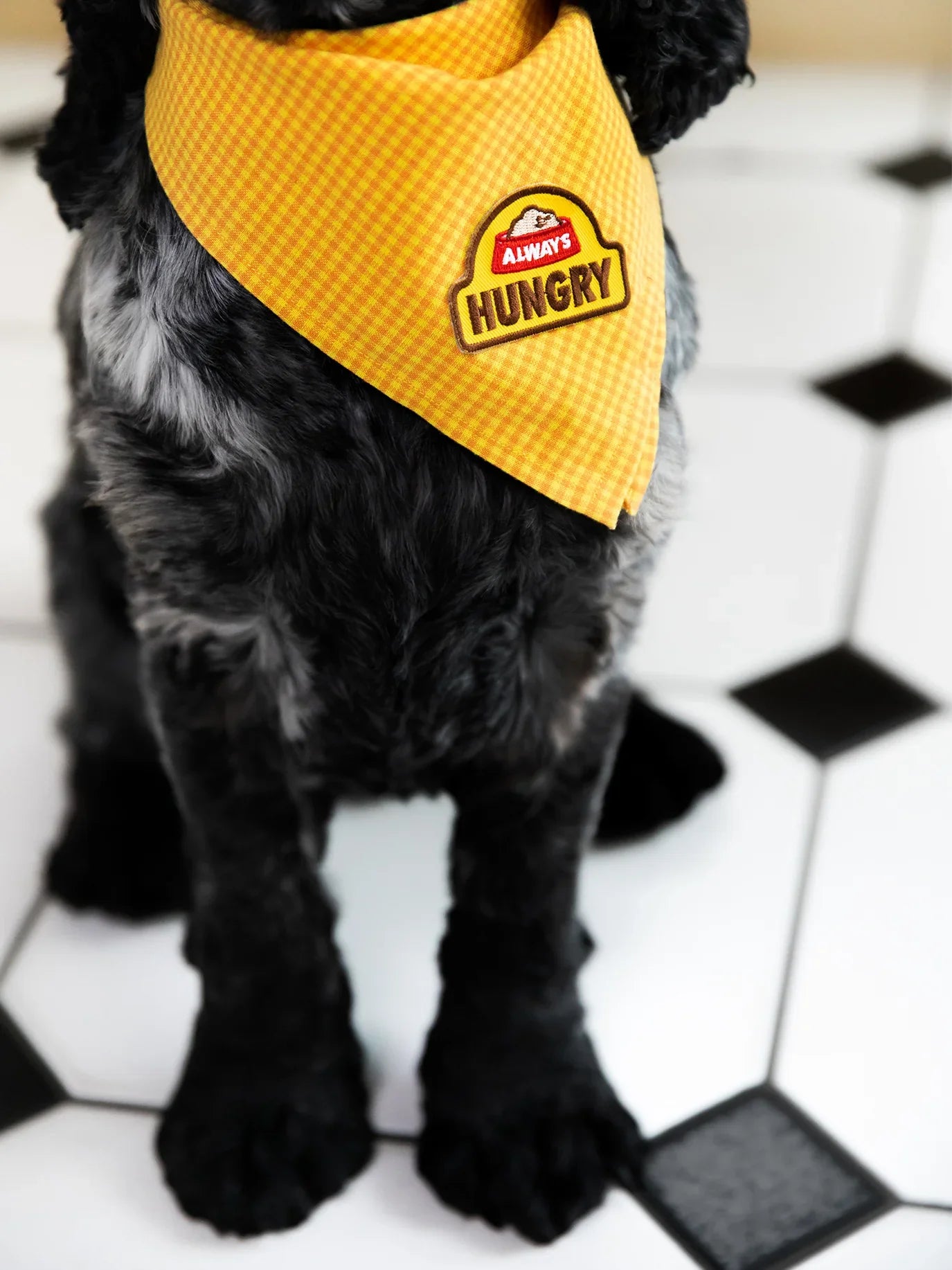 Always Hungry Iron-on Patch