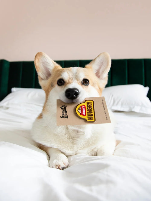 Always Hungry Iron-on Patch