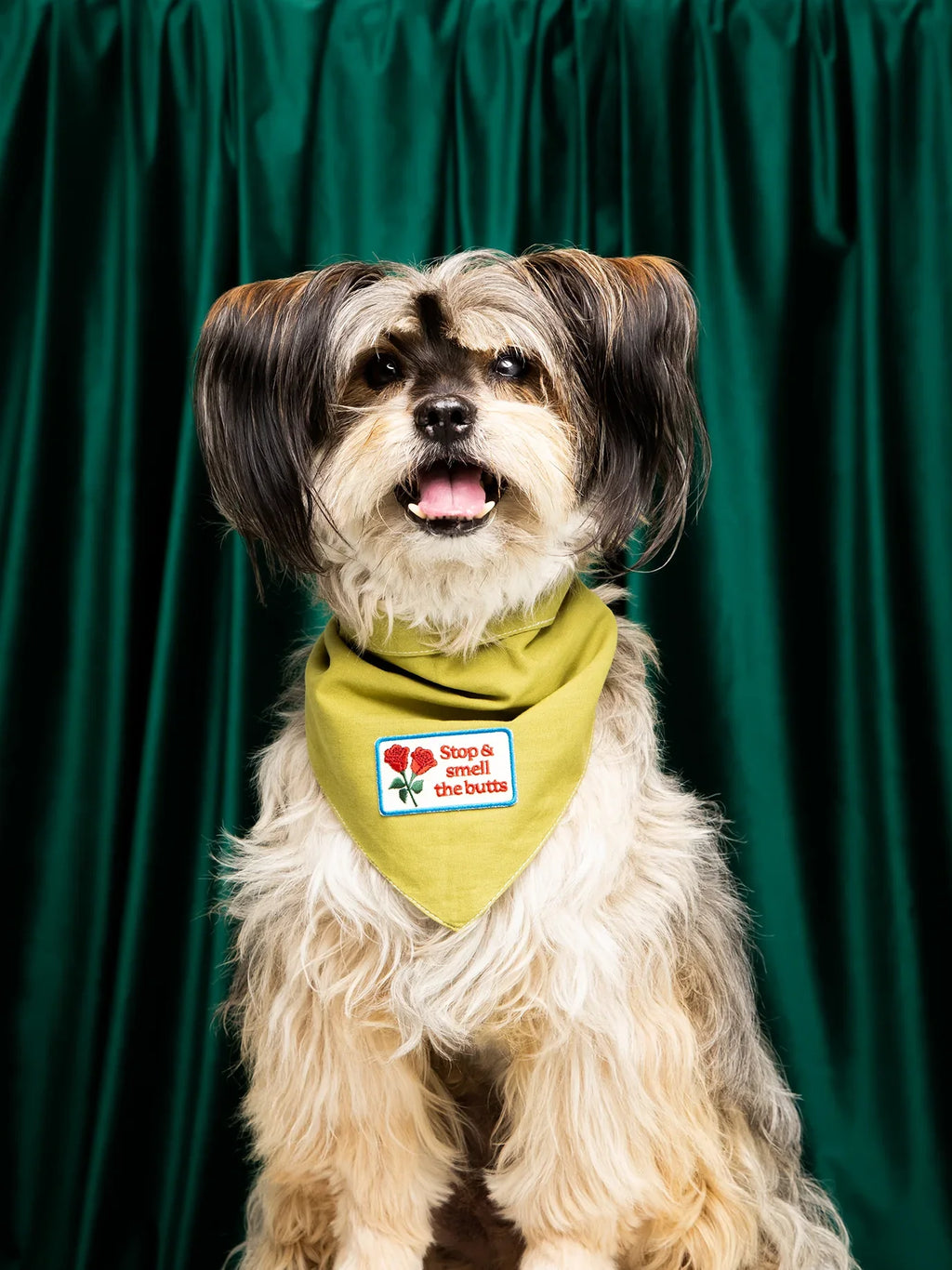 Stop & Smell The Butts Iron-on Patch