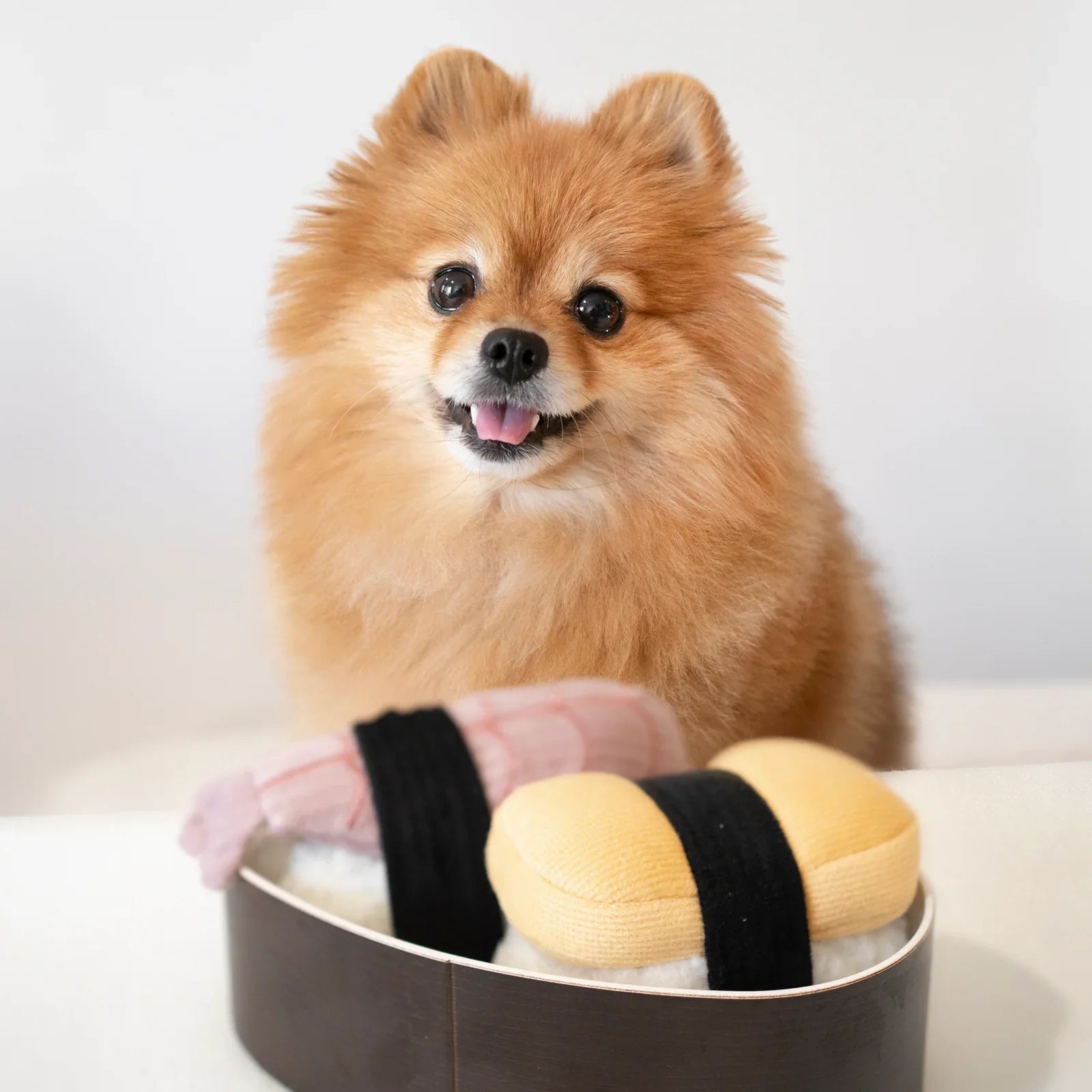 Sushi Enrichment Dog Toy