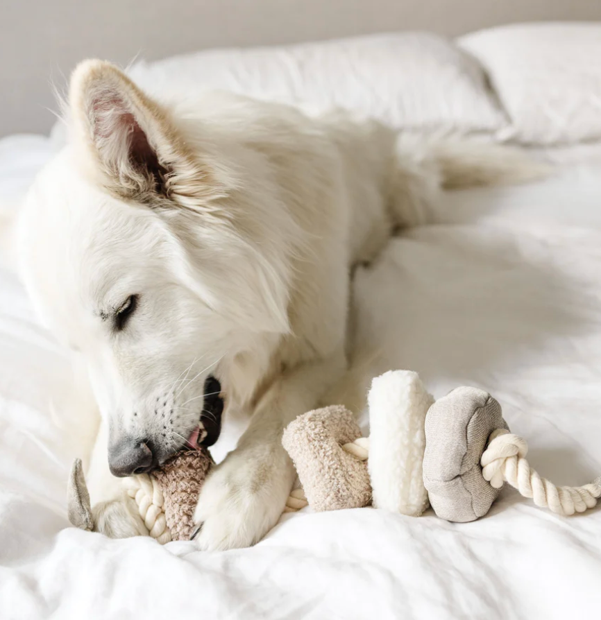 BLOCS - Set of 4 Creative Play Object