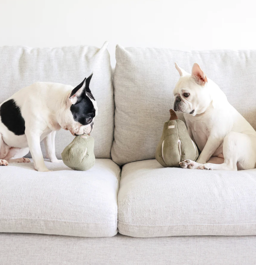 Butternut Gourd Enrichment Snuffle Dog Toy